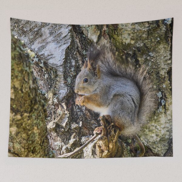 Item preview, Hiding the tears. Red squirrel designed and sold by Jouko Lehto Photography.