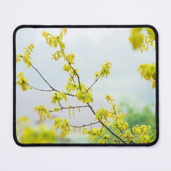 Item preview, Spring oak in the rain designed and sold by Zolachrome Photography.