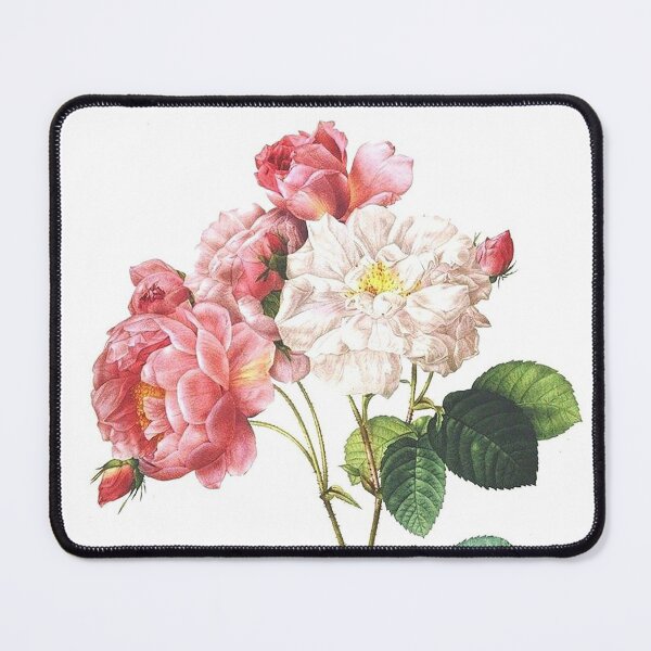 Item preview, Botanical drawings designed and sold by KAY Artists.