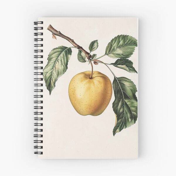 Item preview, Pear or apple? designed and sold by KAY Artists.