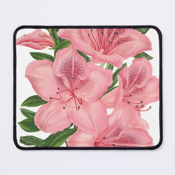 Item preview, Pink Lilly of the valley designed and sold by KAY Artists.