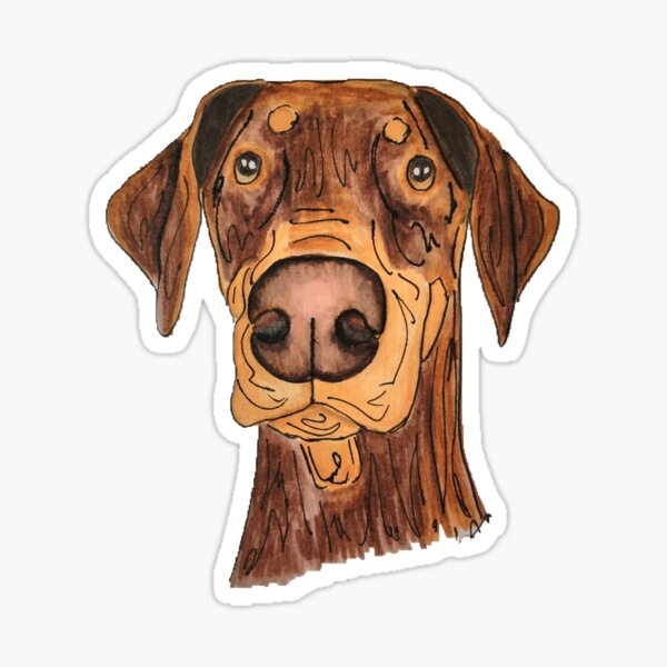Red natural doberman Sticker