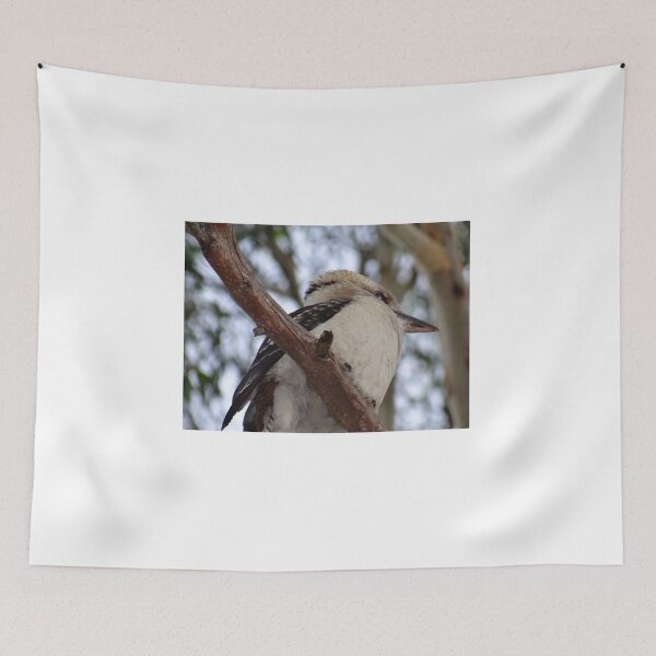 Item preview, Kookaburra In The Old Gum Tree - Australia designed and sold by exploramum.