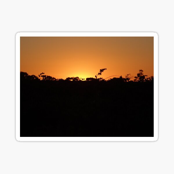 Item preview, Grape Vines At Sunset - McLaren Vale Australia designed and sold by exploramum.