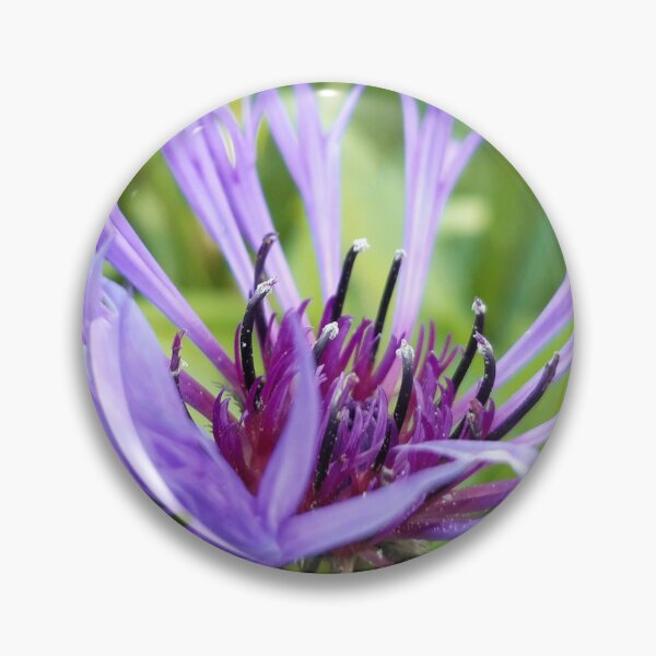 Item preview, Purple Cornflower  designed and sold by amanda150771.