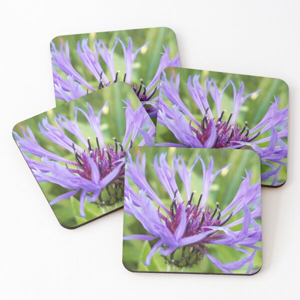 Item preview, Purple Cornflower  designed and sold by amanda150771.