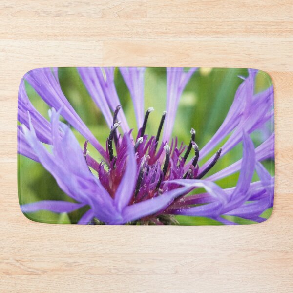 Item preview, Purple Cornflower  designed and sold by amanda150771.