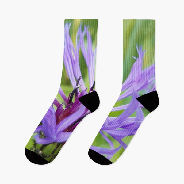 Item preview, Purple Cornflower  designed and sold by amanda150771.