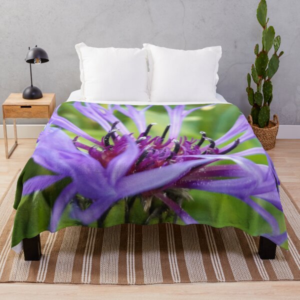 Item preview, Purple Cornflower  designed and sold by amanda150771.