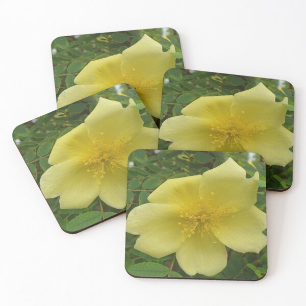 Item preview, Yellow Rose  designed and sold by amanda150771.