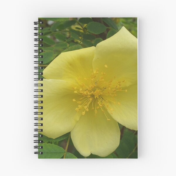 Item preview, Yellow Rose  designed and sold by amanda150771.
