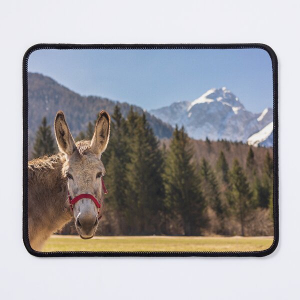 Item preview, Donkeys in a mountain farm designed and sold by zakaz86.