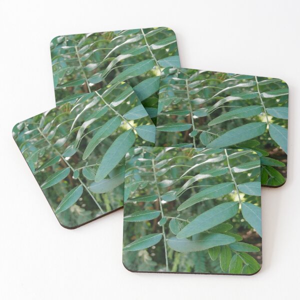 Item preview, Honey locust tree close up 4 original artwork designed and sold by paragonDesign28.