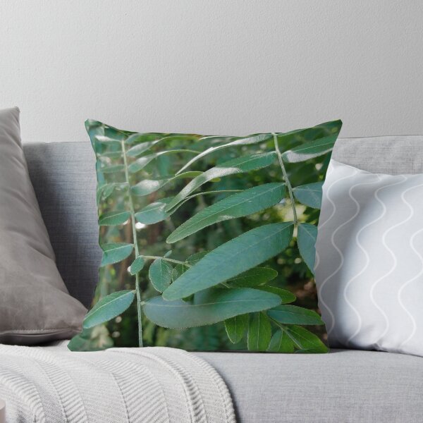 Item preview, Honey locust tree close up 4 original artwork designed and sold by paragonDesign28.
