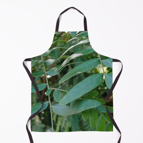 Item preview, Honey locust tree close up 4 original artwork designed and sold by paragonDesign28.