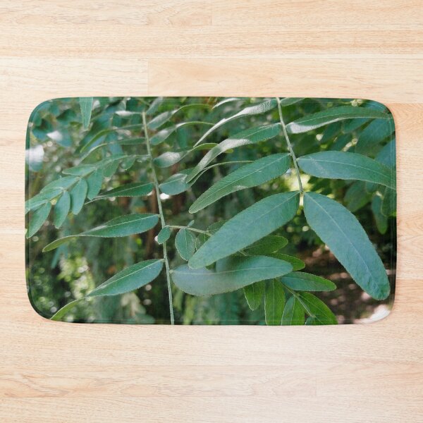 Item preview, Honey locust tree close up 4 original artwork designed and sold by paragonDesign28.