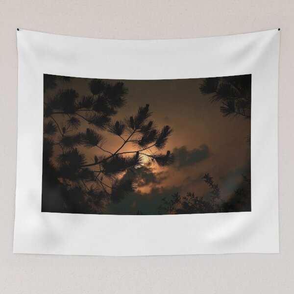 Item preview, Florida Sunrise designed and sold by MercerImages.
