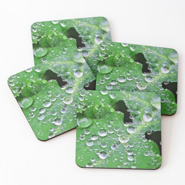 Item preview, Leaf & Drops designed and sold by TERRAMED.