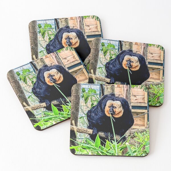 Item preview, saki monkey designed and sold by Dagon-Photos.