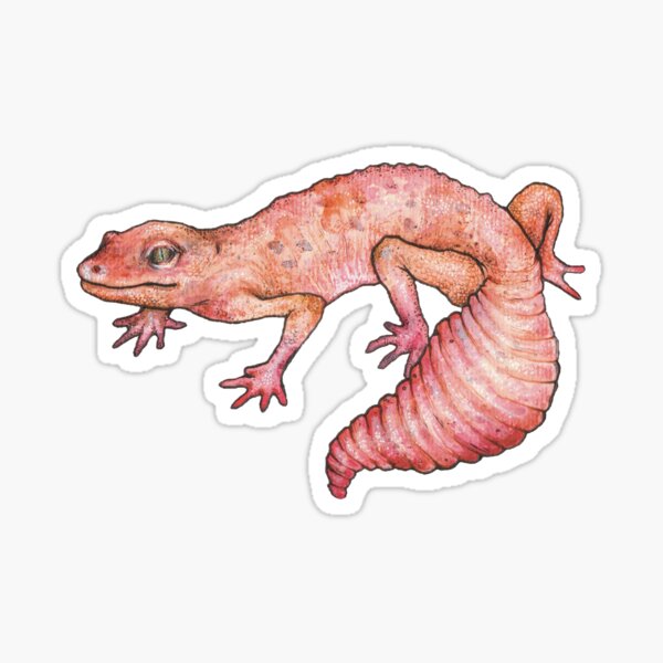 Smiley Peachy Gecko Sticker