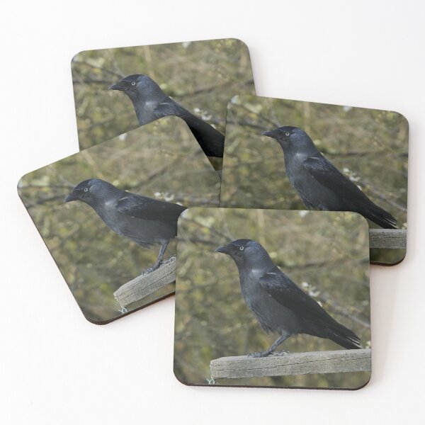 Item preview, Jackdaw With Beautiful Eyes designed and sold by Gapthrosnir.