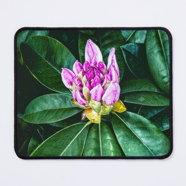 Item preview, Hello World designed and sold by Steve Walser.