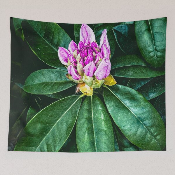 Item preview, Hello World designed and sold by Steve Walser.