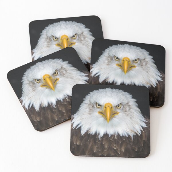 Item preview, Eagle designed and sold by TERRAMED.