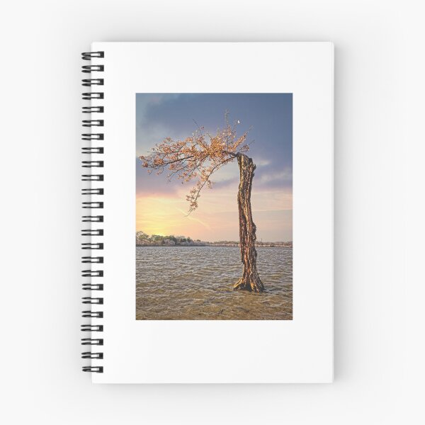 Item preview, Stumpy the cherry tree last stand 2 designed and sold by Alex Preiss.