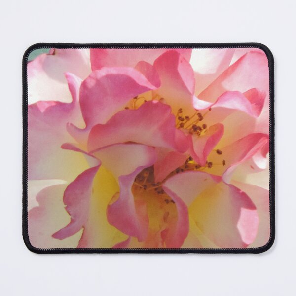 Item preview, Beautiful rose #2 designed and sold by Jmb67.