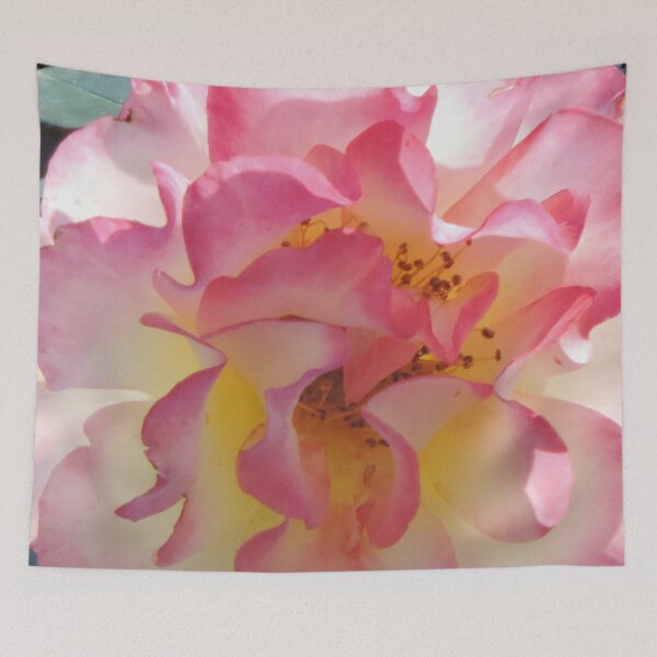 Item preview, Beautiful rose #2 designed and sold by Jmb67.