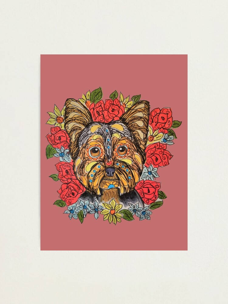 yorkie skull