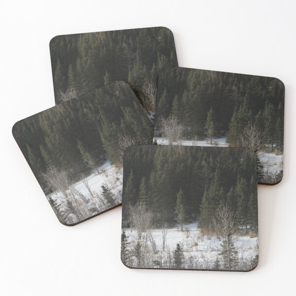 Item preview, Boreal Forest (07.03.24) designed and sold by cryptickludo.