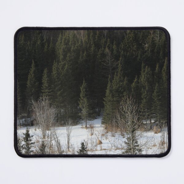 Item preview, Boreal Forest (07.03.24) designed and sold by cryptickludo.