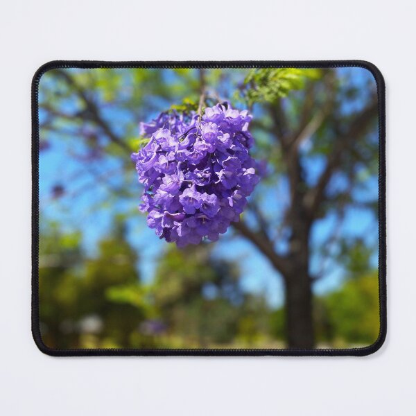 Item preview, Blooming Jacaranda designed and sold by Image-Prints.