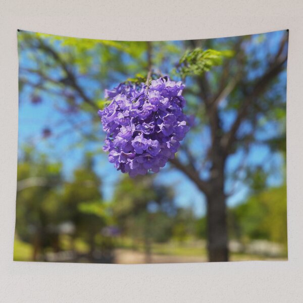 Item preview, Blooming Jacaranda designed and sold by Image-Prints.