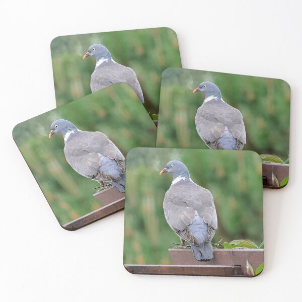 Item preview, vr 3688 / finition 2024 -  1 - Proud - Fier Pigeon - Okaio-Umin Créations Olavia-Olao designed and sold by o.okaïo.