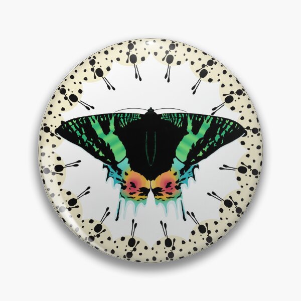 Item preview, Madagascan Sunset Moth Caterpillar Circle  designed and sold by Aspire Entomology.