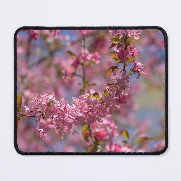 Item preview, Pink crab apple blossoms in spring designed and sold by KRFNatureGifts.