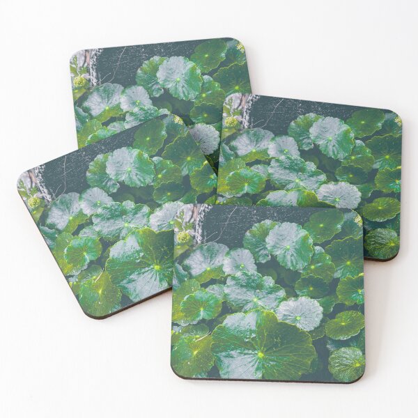 Item preview, Coastal Marsh Pennywort designed and sold by abramichellemorris.