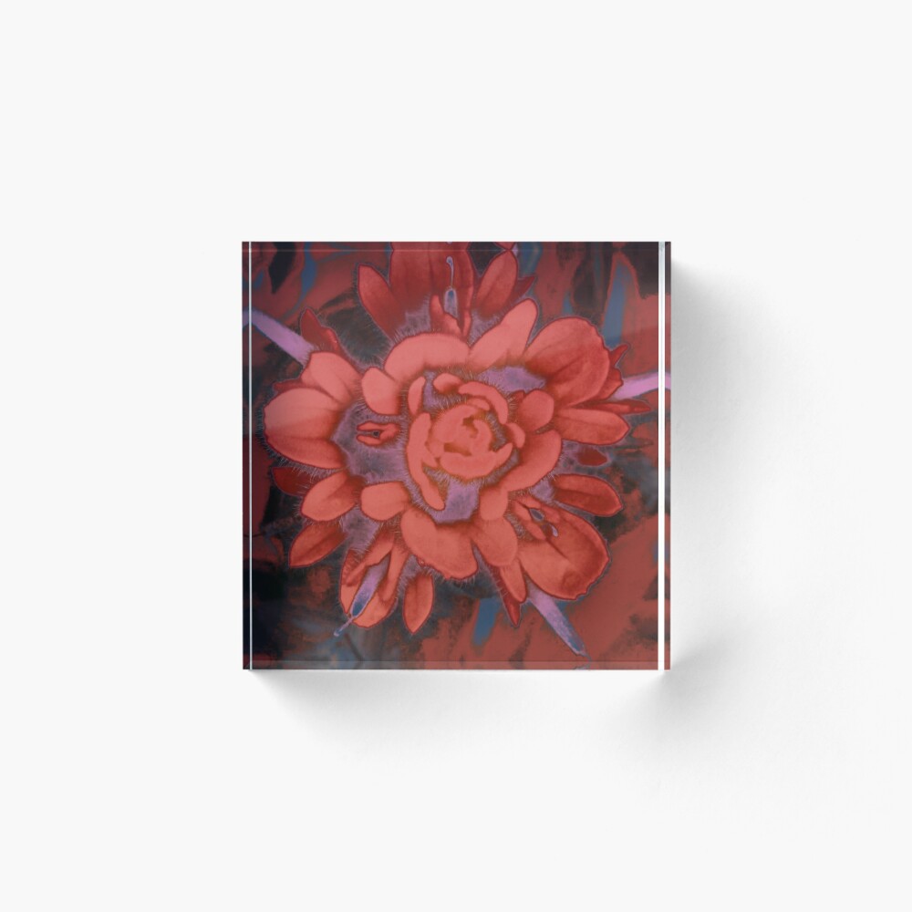 Item preview, Acrylic Block designed and sold by DNS-Imageworks.