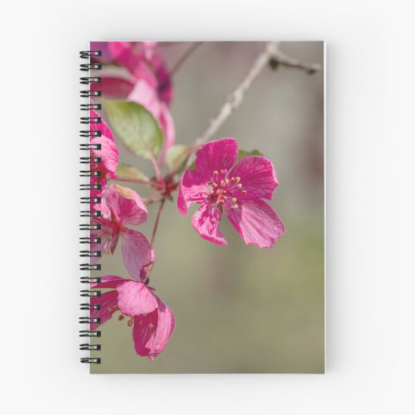 Item preview, Dark pink tree blossoms designed and sold by KRFNatureGifts.