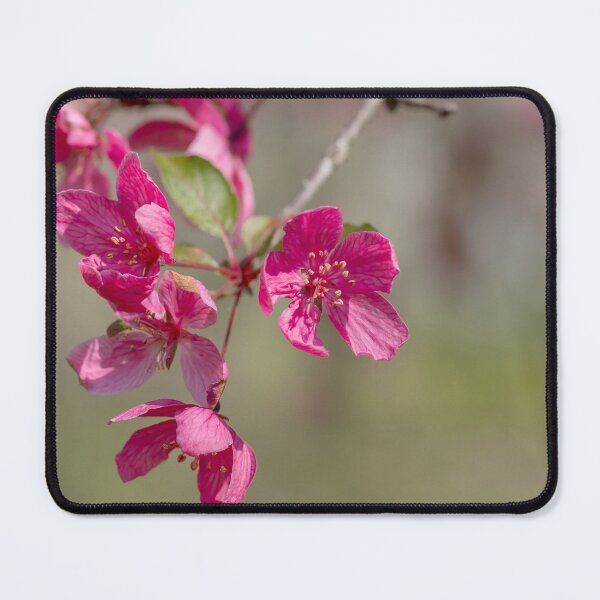 Item preview, Dark pink tree blossoms designed and sold by KRFNatureGifts.
