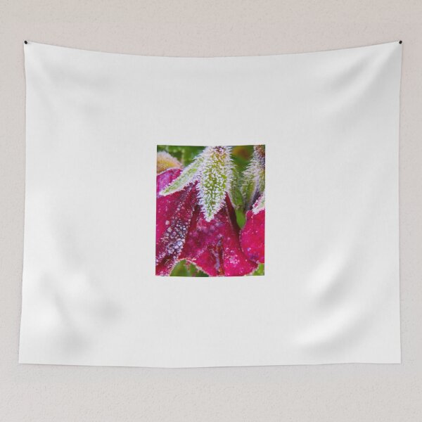 Item preview, Frost On Pelargonium Plant - Adelaide Hills - South Australia designed and sold by exploramum.