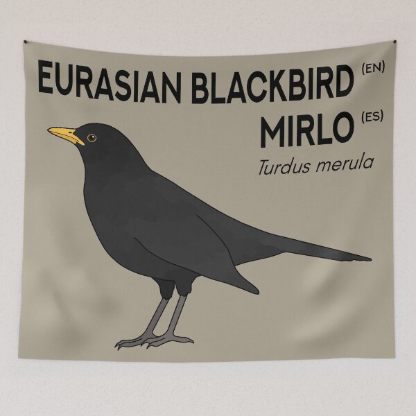 Item preview, Mirlo / Mirlo designed and sold by taylorrowan.