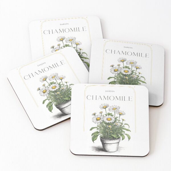 Item preview,  Botanical chamomile in pot rustic sketch by CallisC Arts ⭐⭐⭐⭐⭐ designed and sold by CallisC-Arts.