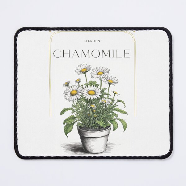 Item preview,  Botanical chamomile in pot rustic sketch by CallisC Arts ⭐⭐⭐⭐⭐ designed and sold by CallisC-Arts.