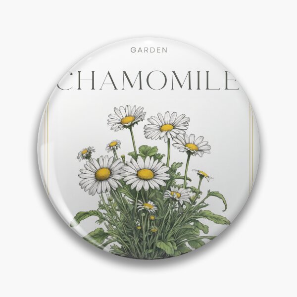 Item preview,  Botanical chamomile in pot rustic sketch by CallisC Arts ⭐⭐⭐⭐⭐ designed and sold by CallisC-Arts.