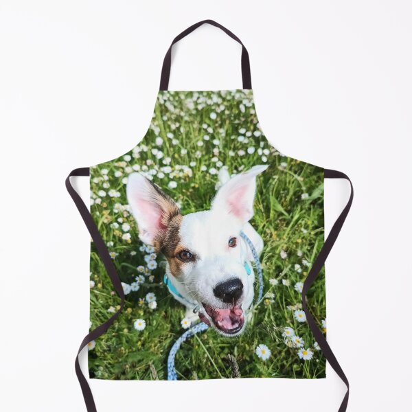 Aperçu de l'œuvre jack russell terrier créée et vendue par KolorowySwiata.