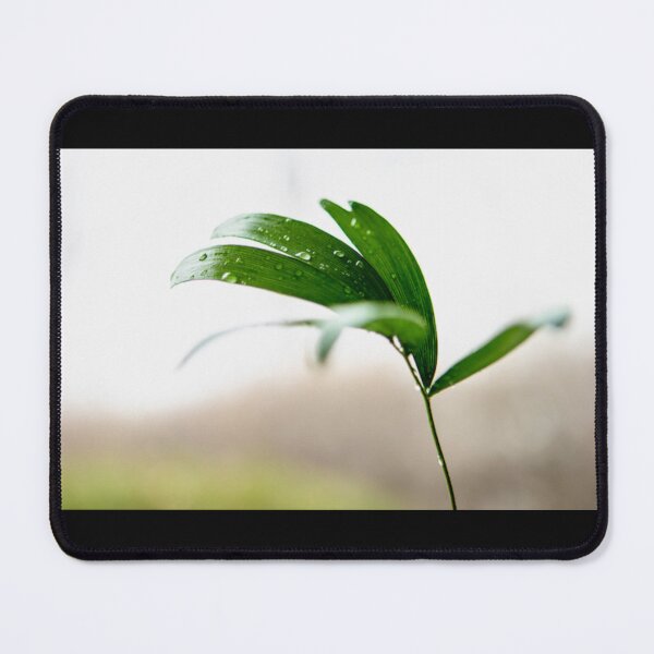 Item preview, New Life designed and sold by The Scenic Route.